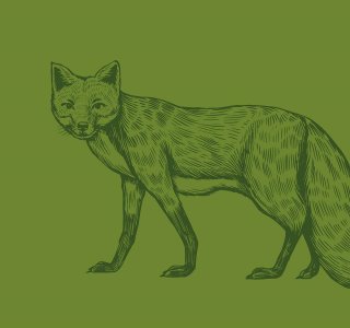 Foxy-Rätselfuchs-web