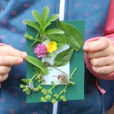 Blumenbild2