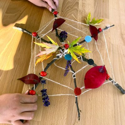 Spinnennetz