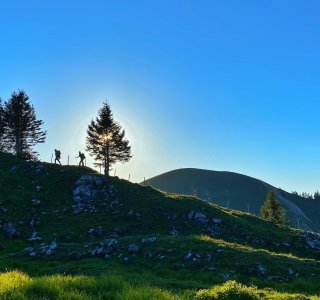 Abendwanderung