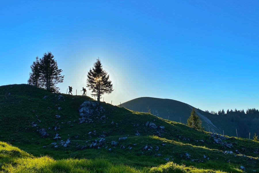 Abendwanderung