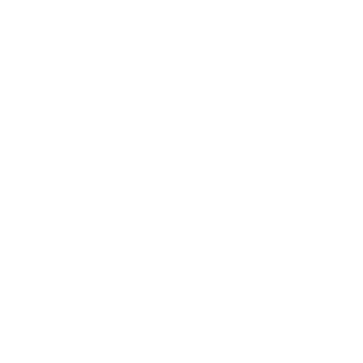 AllgäuPix Logo DL-Seite001 weiß