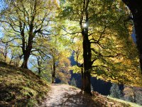 Herbst