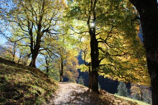 Herbst