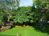 20240711-082807-scaled