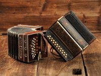 Landgasthof-Almenhof-Oberstdorf-Rubi-Gasthof-Musikinstrument