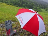 Ein Regentag in Rubi