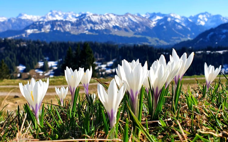 Hörnerdörfer Lochbachtal