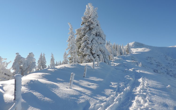 Riedberger-horn-winter-balderschwang-hoernerdoerfe