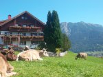 Sonnetanken am Alp-Hof