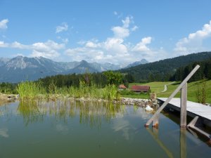 Schwimmteich - Panorama