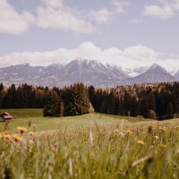 Aussicht aufs Nebelhorn im Frühling