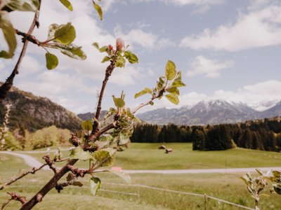Ausblick im Frühling