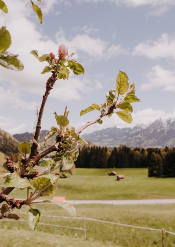 Ausblick im Frühling