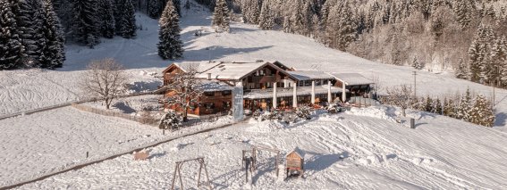 Die Alpe im Winter