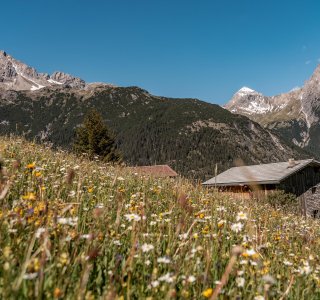 Frühling in den Bergen