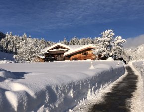 Wintershuttle Alpe Dornach