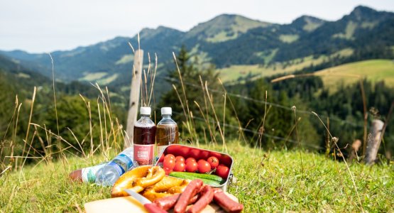 Hütteneinkehr in den Bergen von Oberstaufen