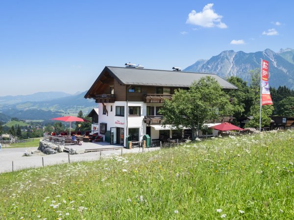 Alpe Oberstdorf im Sommer
