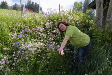 Ein Blumenmeer direkt vor der Alpe Oberstdorf