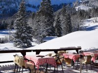 Terrasse geht (fast) immer