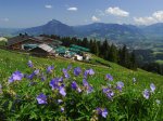 Weltcuphuette Ofterschwangerhorn