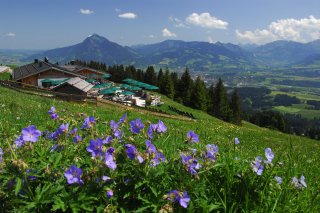 Weltcuphuette Ofterschwangerhorn