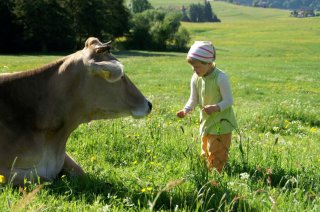 Kuh mit Kind
