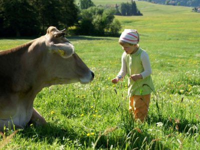 Kuh mit Kind