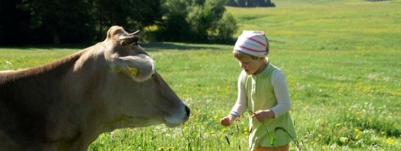 Kuh mit Kind