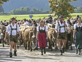 Viehscheid Bolsterlang