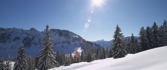 Winterwandern mit Sonne