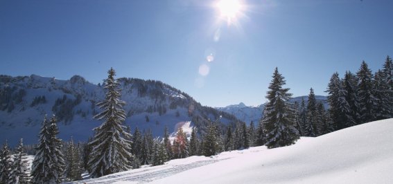 Winterwandern mit Sonne