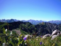 Blick vom Nebelhorn