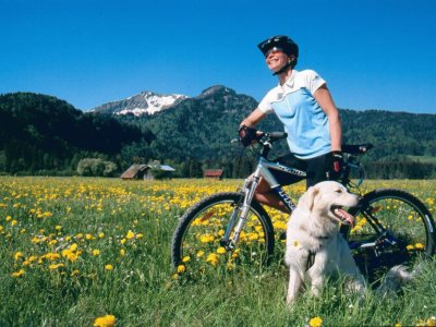 Fahrrad