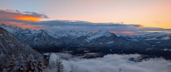 Seealpe