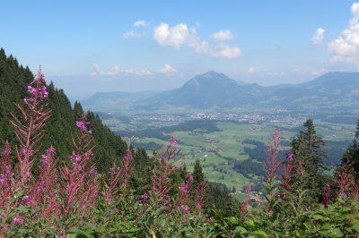 Blick auf Grünten vom Kierwanger Berg