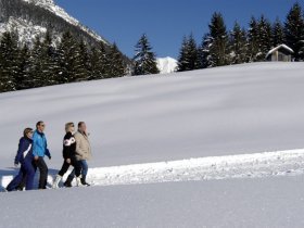 Winterwandern