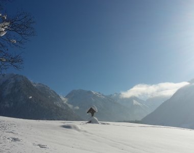 Ausblick an der Hoffmannsruh bei Oberstdorf