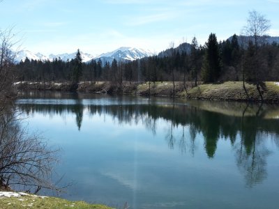 Frühling am Auwaldsee