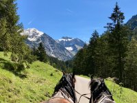 Kutschfahrt im Sommer