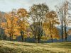 Am Moorweiher im Herbst