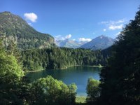 Der Freibergsee im Sommer