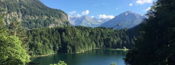 Der Freibergsee im Sommer