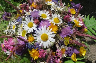 Blumenschmuck