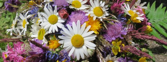 Blumenschmuck