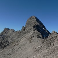 Bockkarkopf