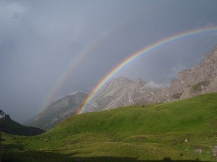 Sommer: Regenschauer