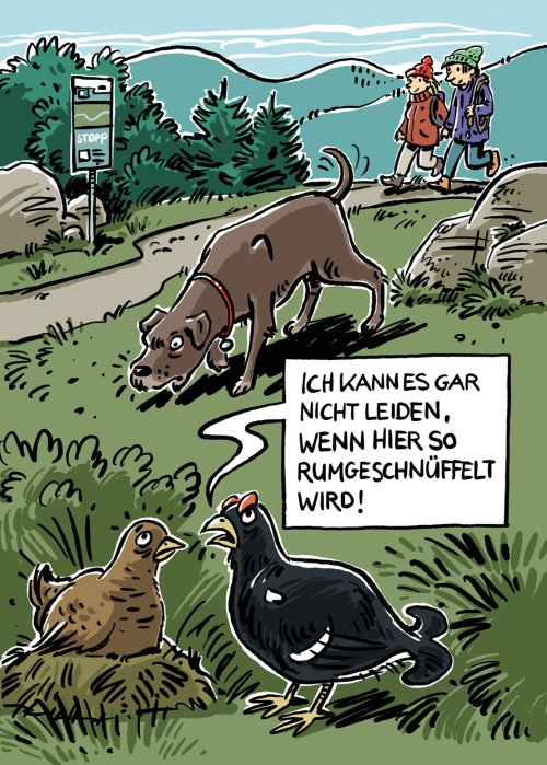 Hunde anleinen ZNAlp ohne Rahmen