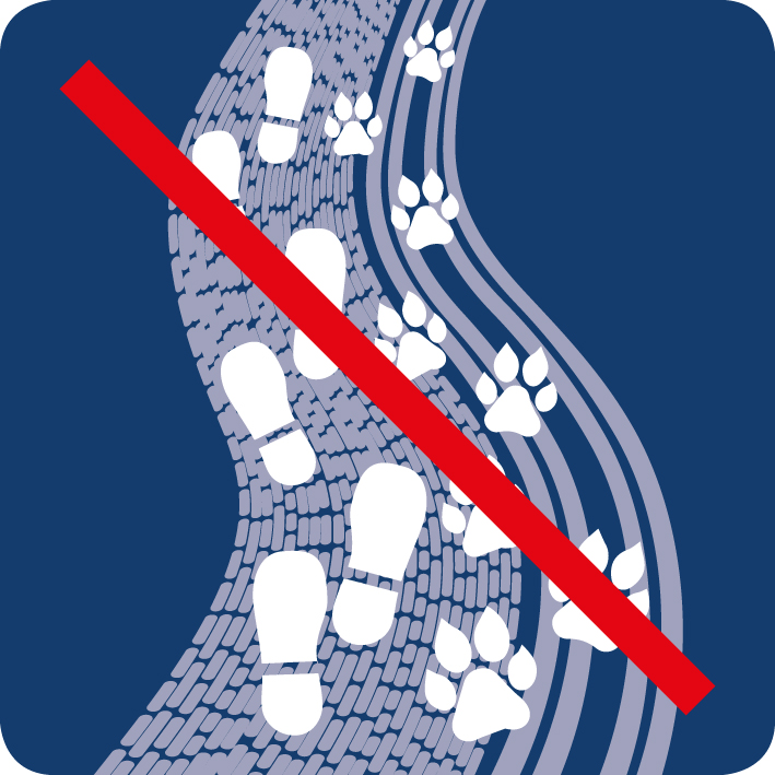 Keine-hunde-praparierter-loipe